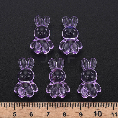 Transparent Acrylic Beads MACR-S373-81-B05-1