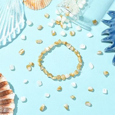 2 Strands 2 Colors Natural Shell Beads Strands SHEL-CJ0001-35-1