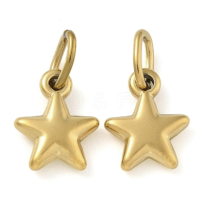 Ion Plating(IP) 304 Stainless Steel Charms STAS-B075-06G-1