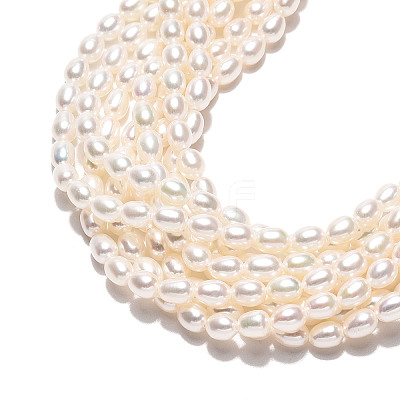 Natural Cultured Freshwater Pearl Beads Strands PEAR-N024-04-4AB-1