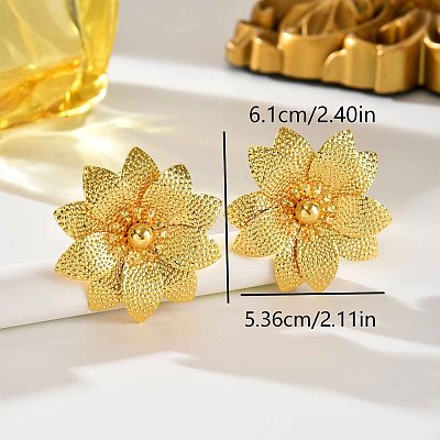 Iron Stud Earrings for Women RH0706-3-1