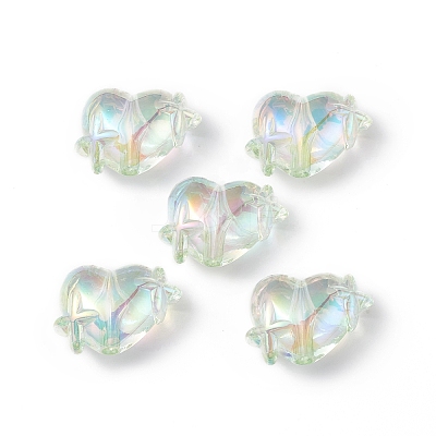 Transparent Acrylic Beads LS-OACR-B005-01H-1