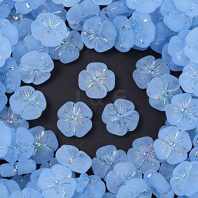 Frosted Transparent Acrylic Beads OACR-P029-19B-01-1