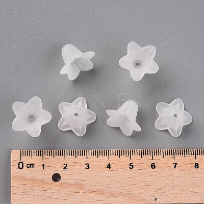Transparent Acrylic Beads PLF018-01-1
