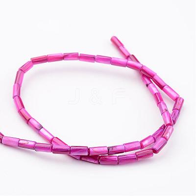 Natural Shell Bead Strands BSHE-P016-09-1