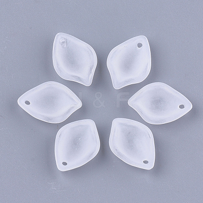 Transparent Acrylic Pendants FACR-T001-15-1