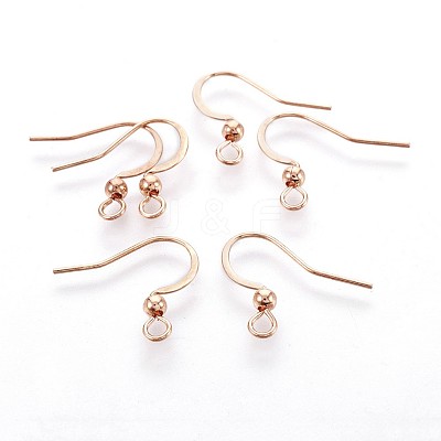 316 Surgical Stainless Steel French Earring Hooks X-STAS-P221-03RG-1