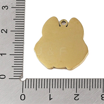 201 Stainless Steel Pendants STAS-C095-41G-1