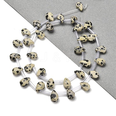 Natural Dalmatian Jasper Beads Strands G-Q167-A20-02-1