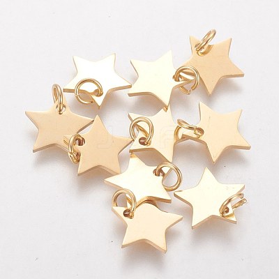 Ion Plating(IP) 304 Stainless Steel Charms STAS-Q201-T461G-1