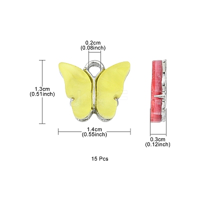 15Pcs Acrylic Charms MACR-YW0002-12P-1