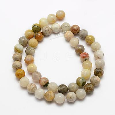 Natural Bamboo Leaf Agate Beads Strands G-K194-4mm-01-1