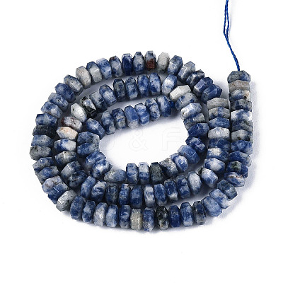 Natural Blue Spot Jasper Beads Strands G-N357-14A-04-1