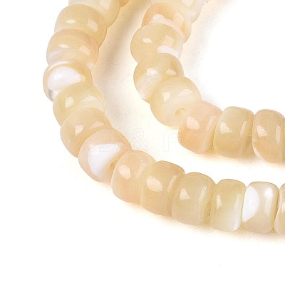 Natural Trochid Shell/Trochus Shell Beads Strands BSHE-T014-54B-1