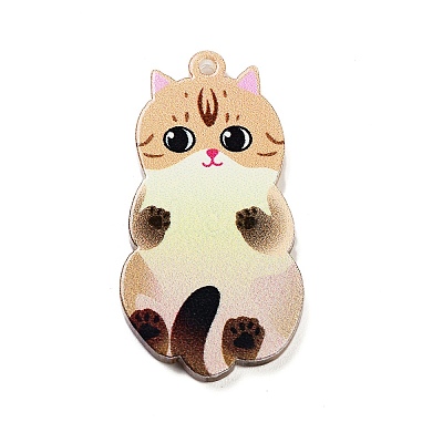 Acrylic Pendants LS-OACR-B023-01B-06-1