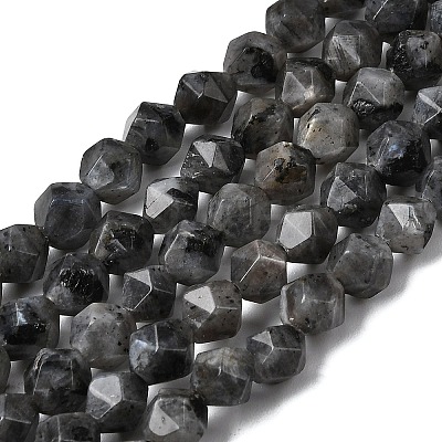 Natural Larvikite Beads Strands G-Z119-A32-01-1