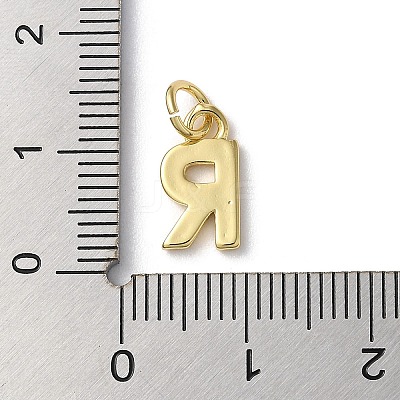Rack Plating Brass Charms KK-P245-06G-R-1
