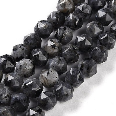 Natural Larvikite Beads Strands G-NH0021-A04-01-1