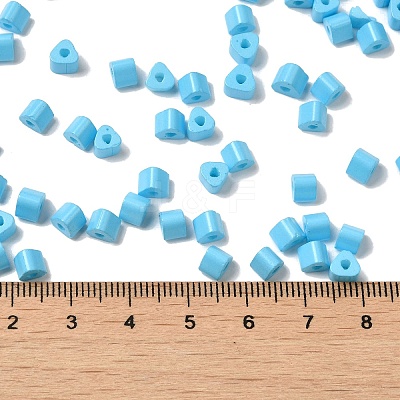 Baking Paint Glass Bead SEED-H002-K-D303-1
