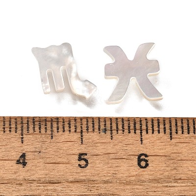 12Pcs 12 Styles Natural White Shell Beads BSHE-Z008-12-1