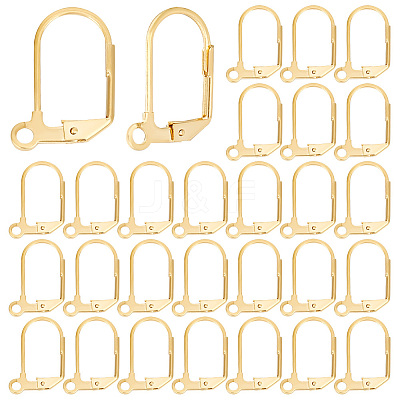 40Pcs 304 Stainless Steel Leverback Earring Findings STAS-BBC0003-93-1