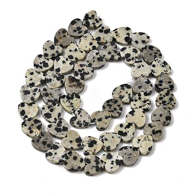 Natural Dalmatian Jasper Beads Strands X-G-M403-A31-03-1