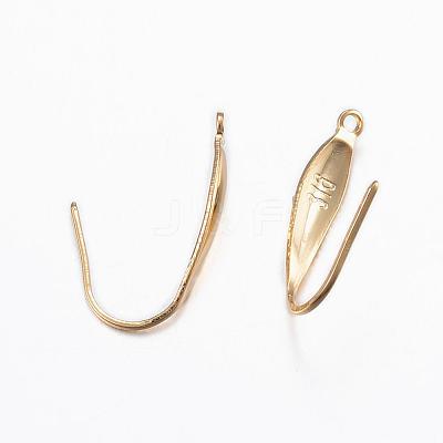 316 Surgical Stainless Steel Earring Hooks X-STAS-P166-10G-1
