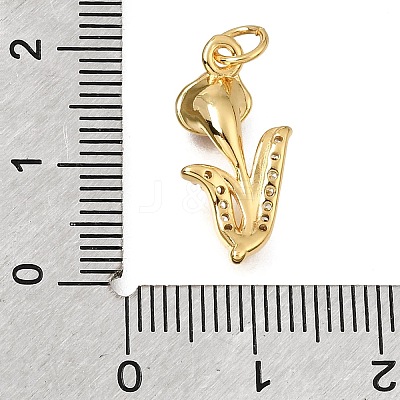 Brass Micro Pave Clear Cubic Zirconia Pendants CU-G605-18G-03-1