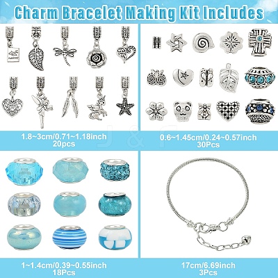 DIY European Style Bracelet Kits. including Alloy & Resin European Beads DIY-YW0012-11A-1