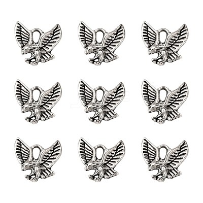 Tibetan Style Alloy Pendants X-TIBEP-20305-AS-NR-1