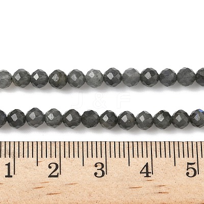 Natural Labradorite Beads Strands G-L622-C03-4mm-1