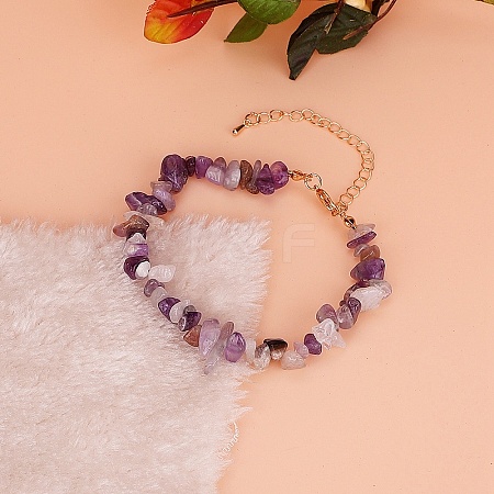 Natural Amethyst Chips Link Bracelets for Women PW-WG54EEB-02-1