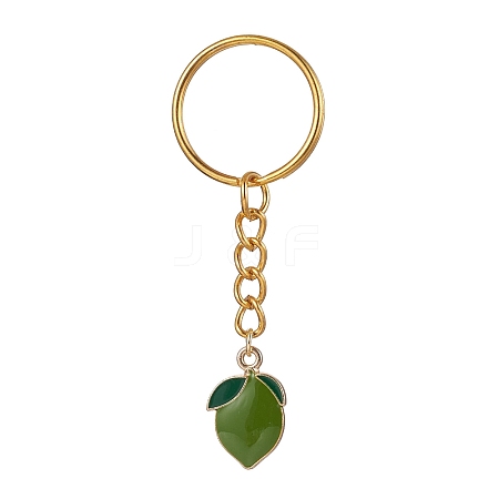 Alloy Enamel Pendant Keychain KEYC-JKC00622-01-1