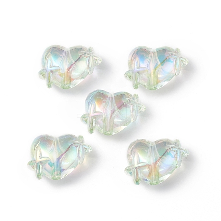 Transparent Acrylic Beads LS-OACR-B005-01H-1