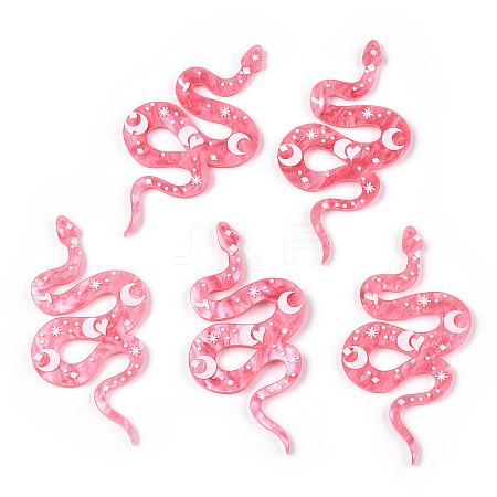 Printed Acrylic Big Pendants LS-FEST-PW0001-037D-1