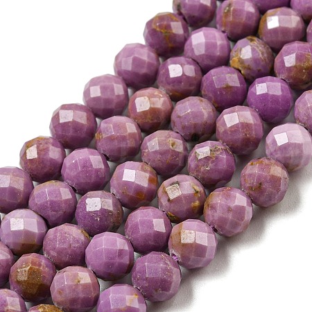 Natural Lepidolite/Purple Mica Stone Beads Strands G-NH0011-A01-04-1