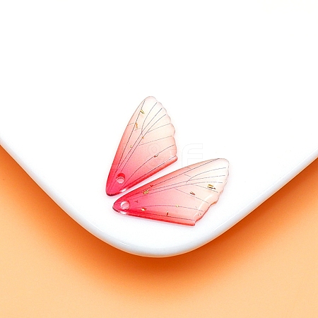 Transparent Resin Pendants LS-RESI-TAC0005-023A-07-1