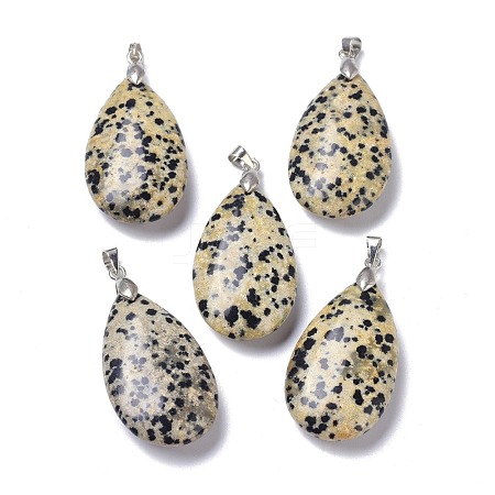 Natural Dalmatian Jasper Pendants G-D084-01P-B09-1