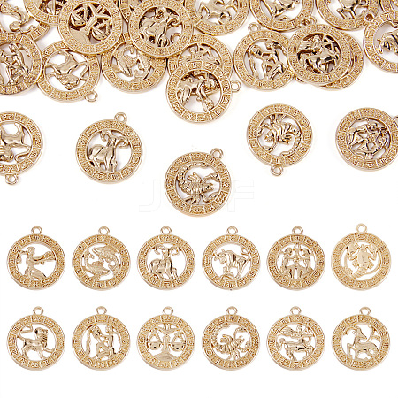 Zinc Alloy Jewelry Pendant Accessories FIND-FW0001-03A-1