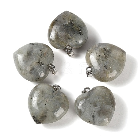 Natural Labradorite Pendants GG-CBAA0EE-04P-05-1