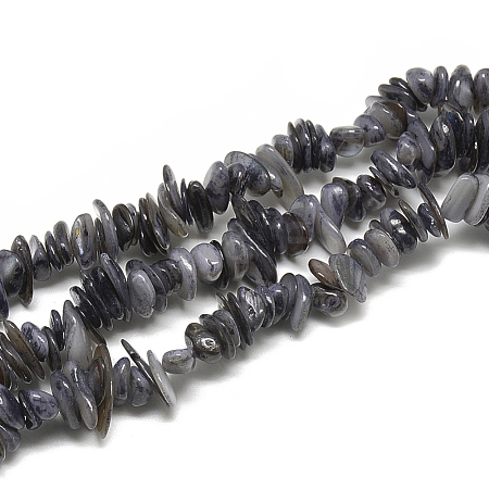 Freshwater Shell Beads Strands X-SHEL-S272-25-1