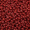 8/0 Baking Paint Glass Seed Beads SEED-M012-02A-43-3