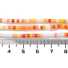 Handmade Czech Lampwork Beads Strands LAMP-L078-008B-4