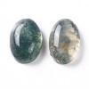 Natural Moss Agate Cabochons G-F697-E01-2