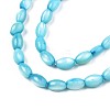 Freshwater Shell Beads Strands SHEL-T009-B15-4