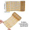 CHGCRAFT 2 Strands 2 Colors  Resin Mesh Rhinestone Trimming DIY-CA0002-48-2