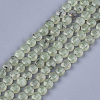 Natural Prehnite Beads Strands G-S354-29-1
