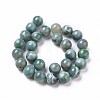 Natural Agate Beads Strands TDZI-I003-06D-01-2