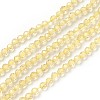 Transparent Glass Beads Strands GLAA-F094-A10-1