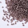 8/0 Glass Seed Beads SEED-A005-3mm-56-2